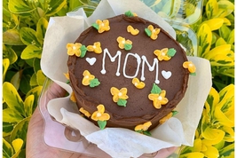 Delicious Bento Cakes for MOM