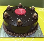 Choco Friends for Life
